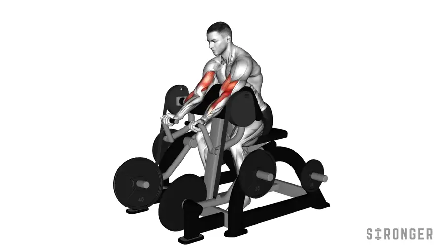 Preacher Curl Machine demonstration