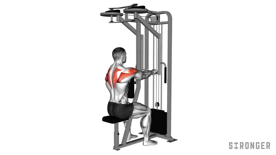 Rear Delt Fly Machine demonstration