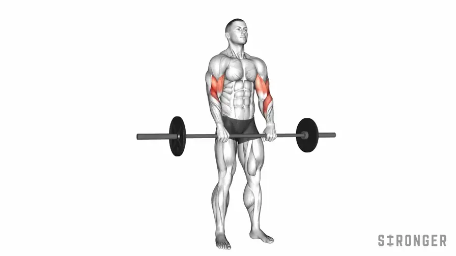 Reverse Barbell Curl demonstration