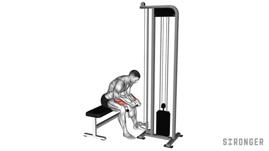 Reverse Cable Wrist Curl demonstration