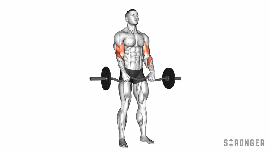 Reverse EZ Bar Curl demonstration