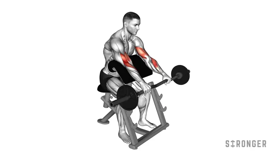 Reverse EZ Bar Preacher Curl demonstration