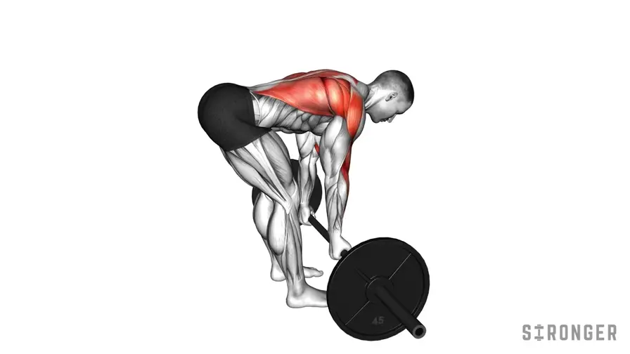 Reverse Grip Barbell Row demonstration