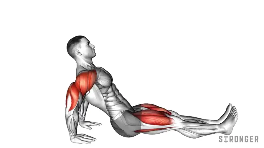 Reverse Plank demonstration