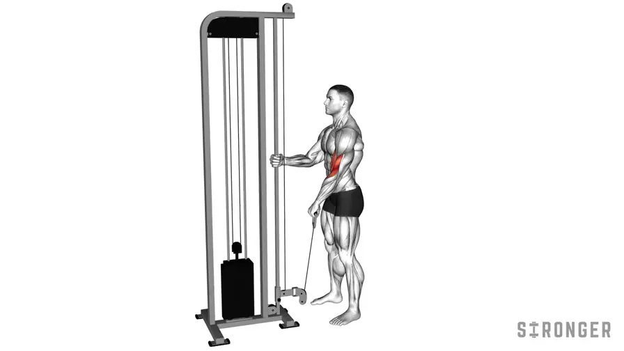 Reverse Single Arm Cable Curl demonstration