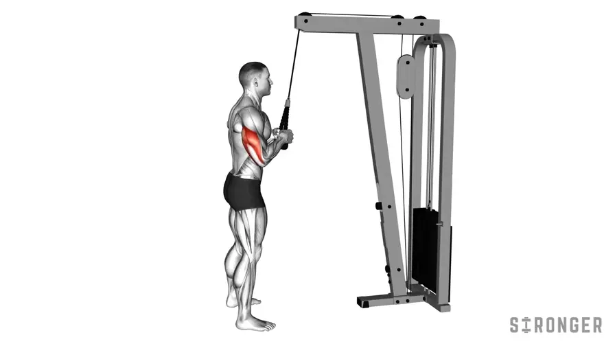 Rope Pushdown demonstration