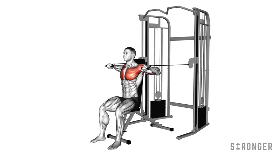 Seated Cable Chest Press demonstration