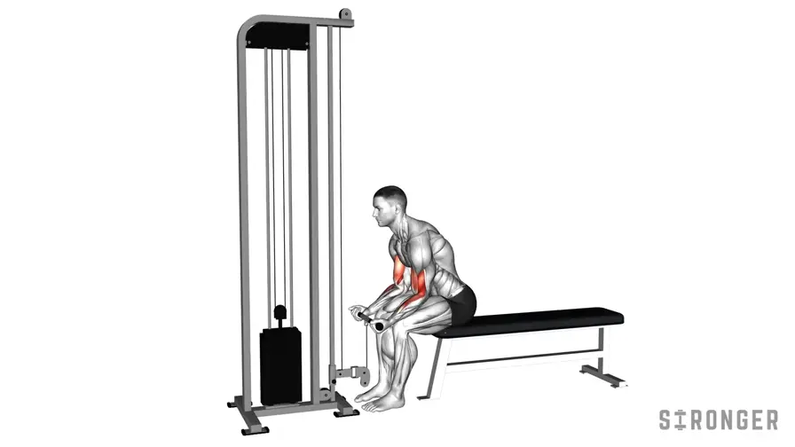 Seated Cable Curl demonstration