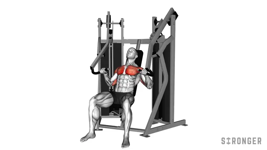 Seated Chest Press Machine demonstration