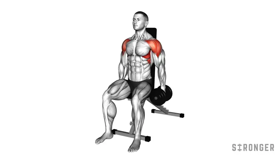Seated Lateral Raise demonstration