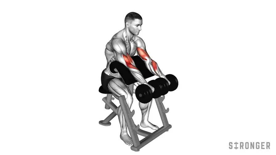 Seated Reverse Dumbbell Curl demonstration