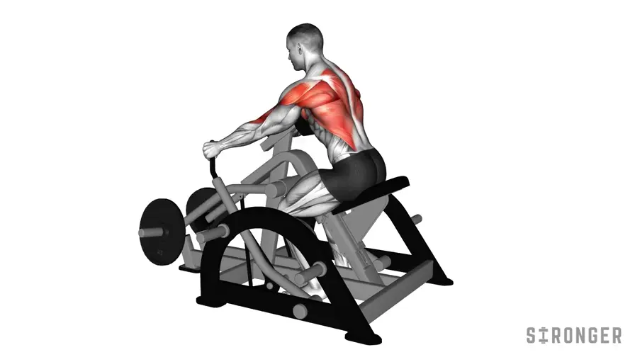 Seated Row Machine demonstration