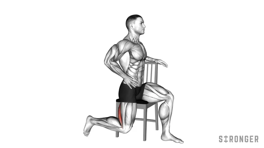 Seated Single Leg Leg Curl demonstration