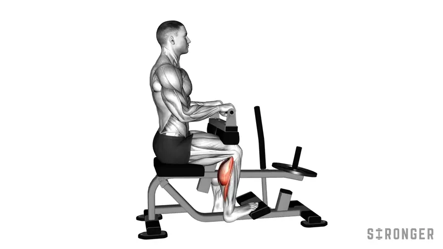 Seated Single Leg Machine Calf Raise demonstration