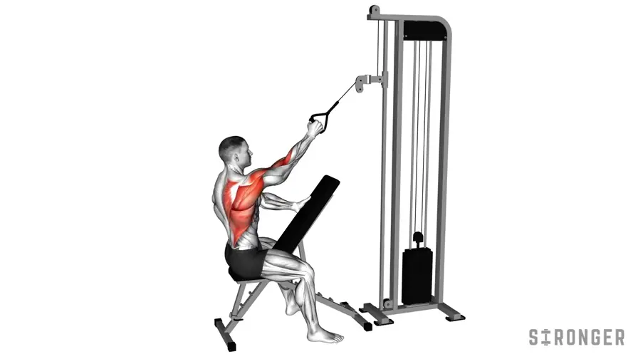 Single Arm Cable Row demonstration