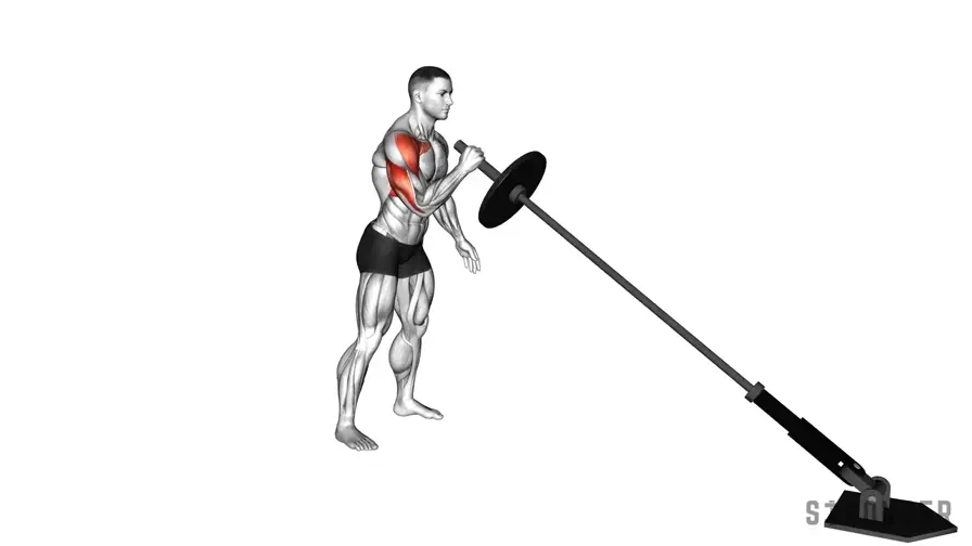 Single Arm Landmine Press demonstration