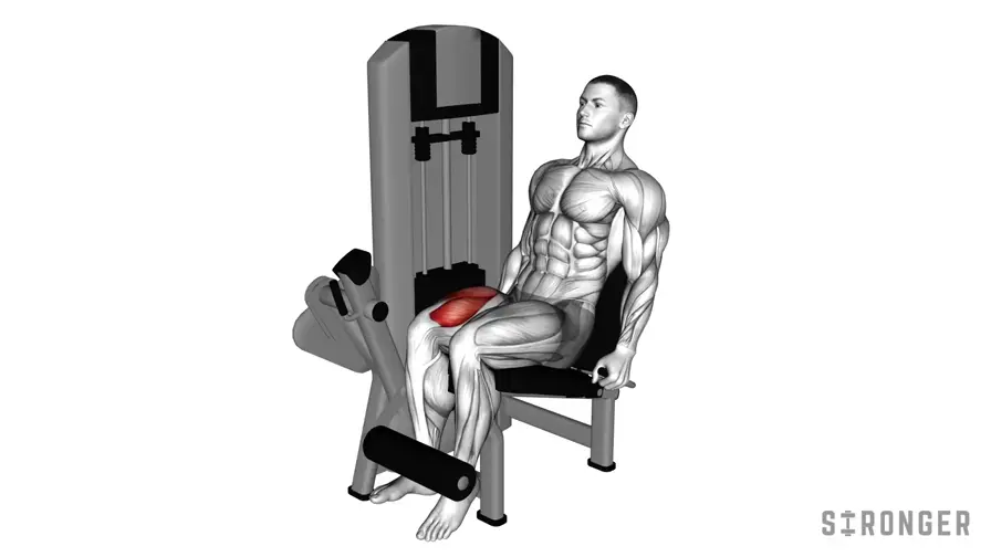 Single Leg Leg Extension demonstration