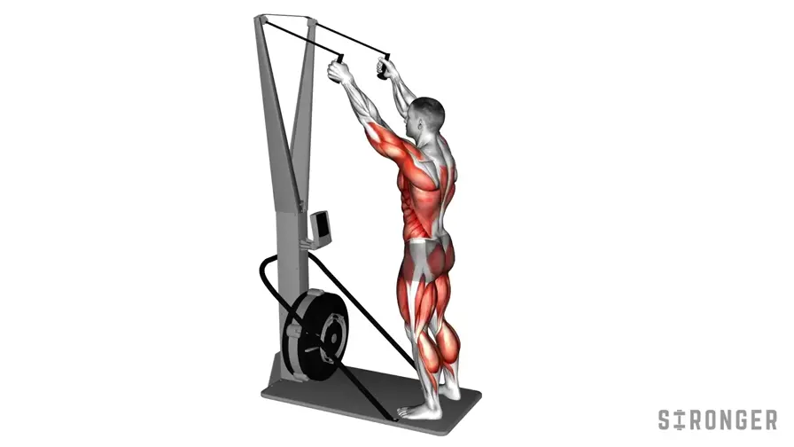 Ski Ergometer demonstration