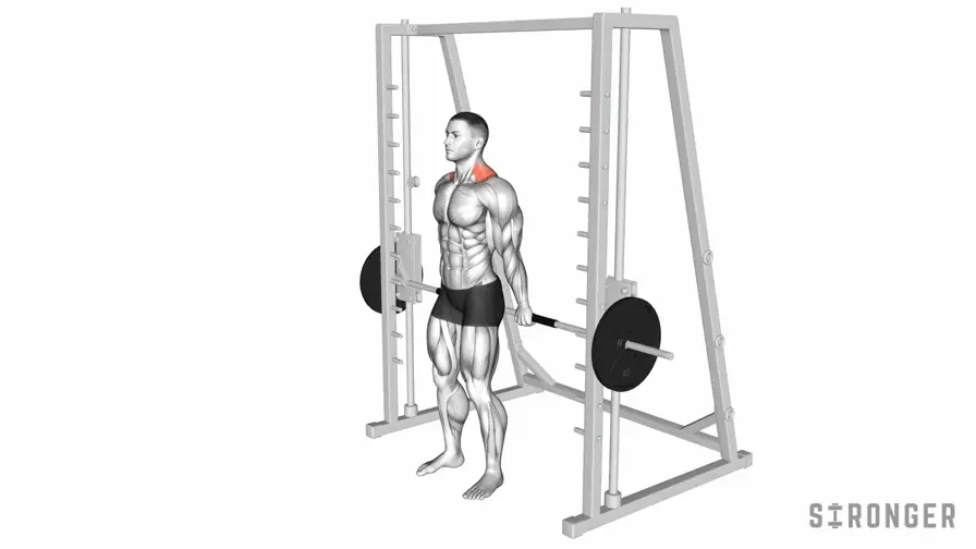 Smith Machine Behind the Back Shrug demonstration