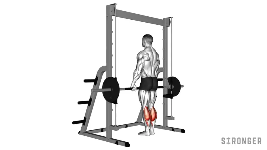 Smith Machine Calf Raise demonstration