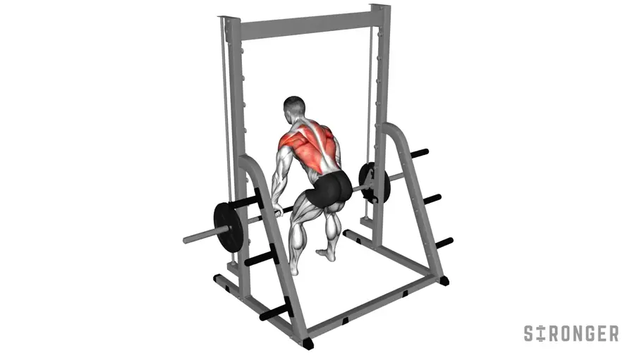 Smith Machine Row demonstration