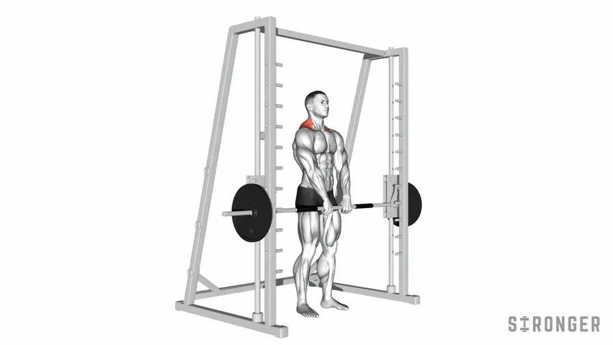 Smith Machine Shrug demonstration