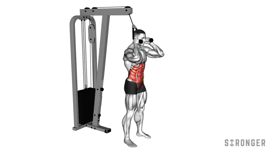 Standing Cable Crunch demonstration