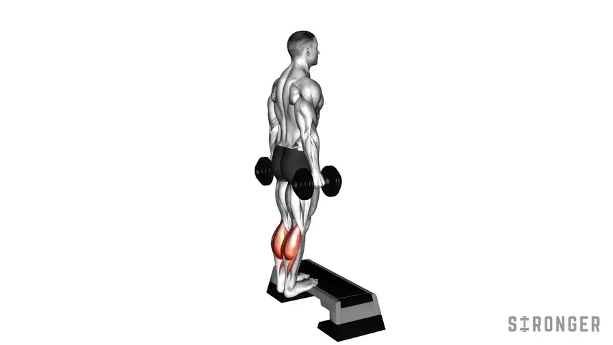 Standing Dumbbell Calf Raise demonstration