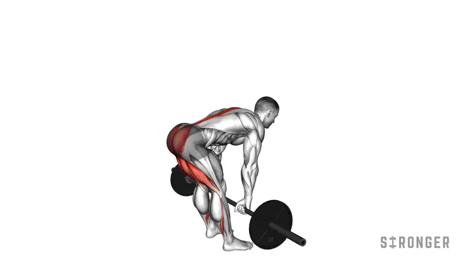 Stiff Legged Deadlift demonstration