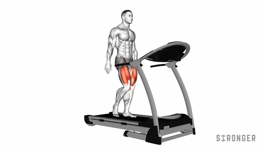 Treadmill demonstration