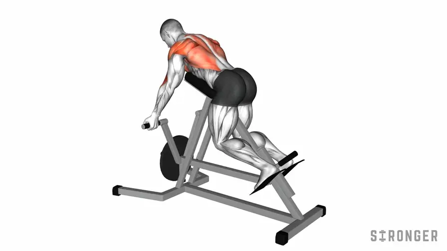 Underhand Grip T-Bar Row demonstration