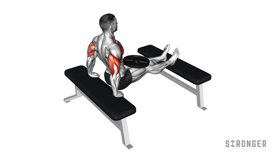 Weighted Bench Dip demonstration