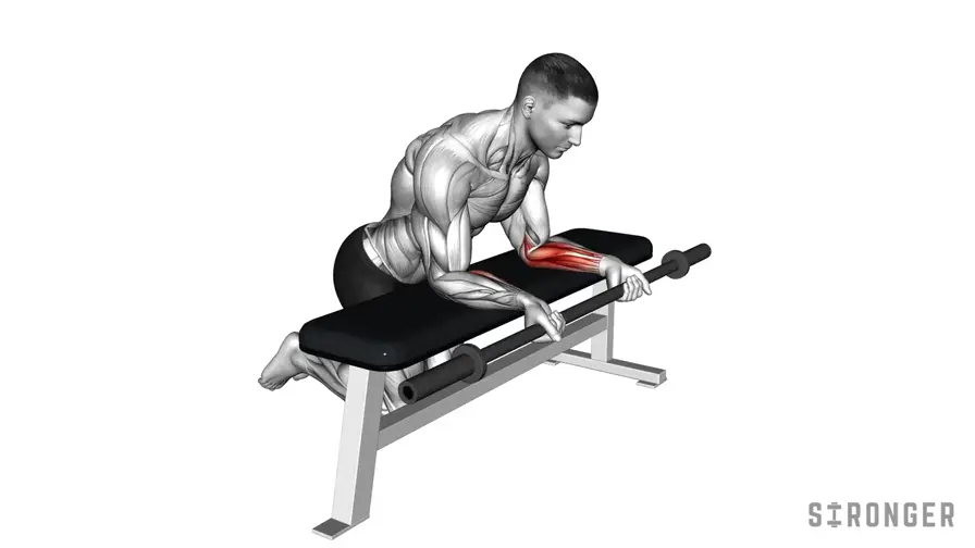 Wrist Curl demonstration